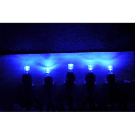 Forever Bright Kellogg Plastics 025 in Holiday  Christmas Indoor  Outdoor LED Blue 45311